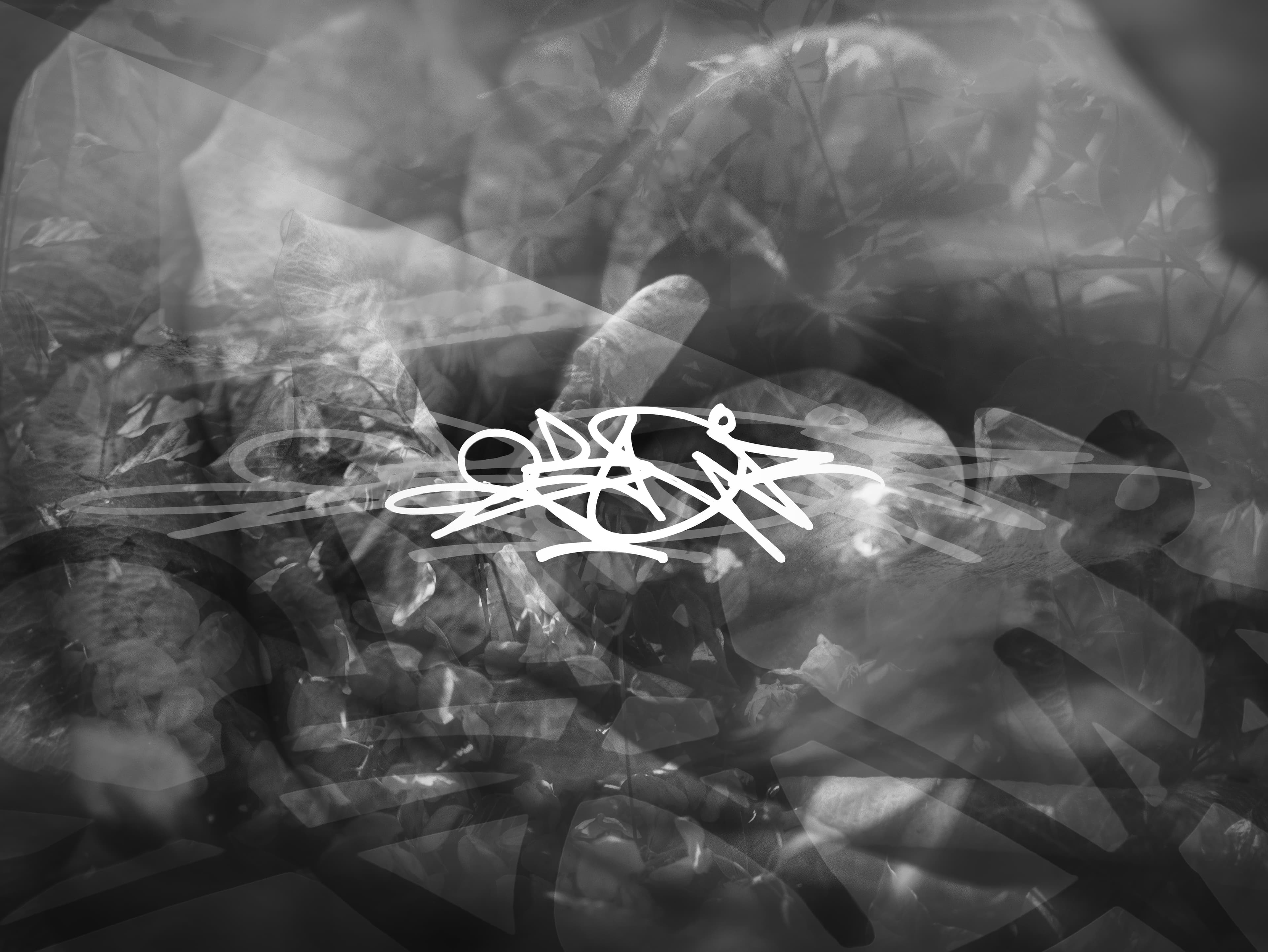 Pflanze Tag